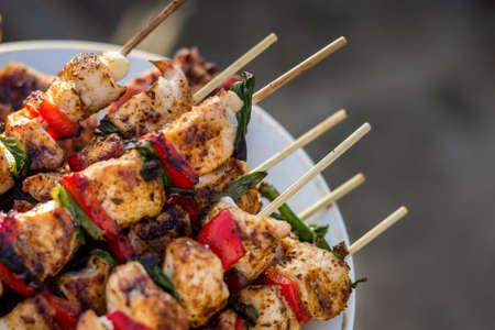 Close up pf delicious chicken breast on wooden skew with fresh vegetables, garlic, paprika fried on mangal barbeque grillの写真素材