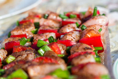 Close up pf delicious chicken breast on wooden skew with fresh vegetables, garlic, paprika fried on mangal barbeque grillの写真素材