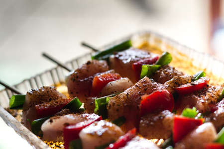 Close up pf delicious chicken breast on wooden skew with fresh vegetables, garlic, paprika fried on mangal barbeque grillの写真素材