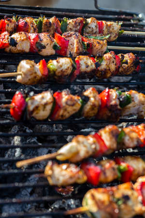 Close up pf delicious chicken breast on wooden skew with fresh vegetables, garlic, paprika fried on mangal barbeque grillの写真素材