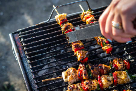 Close up pf delicious chicken breast on wooden skew with fresh vegetables, garlic, paprika fried on...