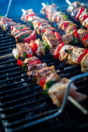 Close up pf delicious chicken breast on wooden skew with fresh vegetables, garlic, paprika fried on mangal barbeque grillの写真素材