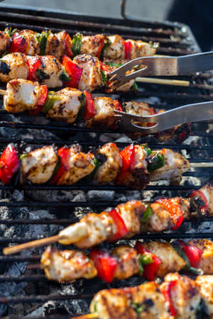 Close up pf delicious chicken breast on wooden skew with fresh vegetables, garlic, paprika fried on mangal barbeque grillの写真素材