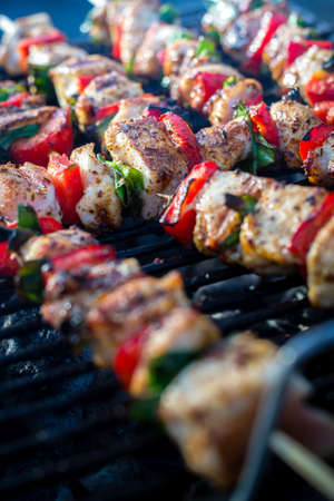 Close up pf delicious chicken breast on wooden skew with fresh vegetables, garlic, paprika fried on mangal barbeque grillの写真素材