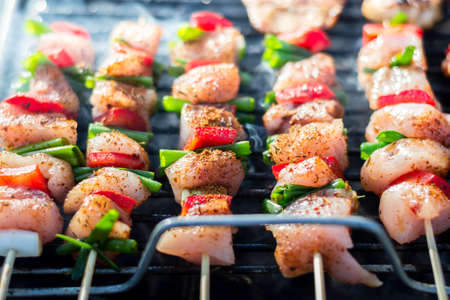 Close up pf delicious chicken breast on wooden skew with fresh vegetables, garlic, paprika fried on mangal barbeque grillの写真素材