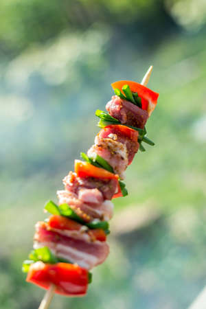 Close up of delicious chicken breast on wooden skew with fresh vegetables, garlic, paprika fried on mangal barbeque grill and smokeの写真素材