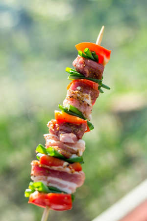Close up of delicious chicken breast on wooden skew with fresh vegetables, garlic, paprika fried on mangal barbeque grill and smokeの写真素材