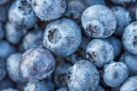 Close-up shot of delicious blueberriesの写真素材