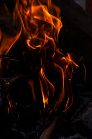 Close up shot of burning wood and charcoal used for barbeque