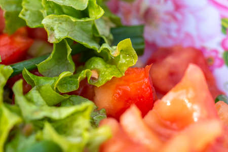 Close-up shot of juicy assorted salad consisting of green salad leaves, tomato, paprika and cucumberの写真素材