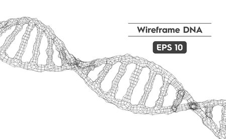 Vector illustration of the DNA structure using a wireframe meshのイラスト素材