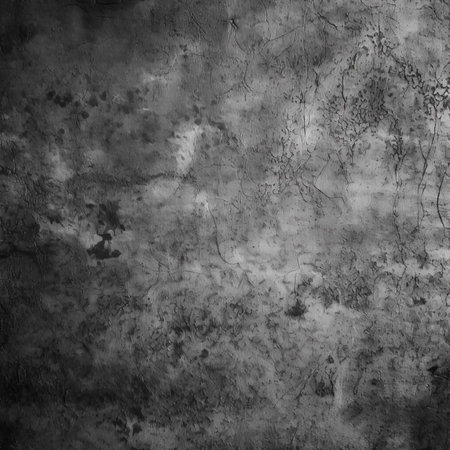 Black and white grunge background or texture with vignette.の素材