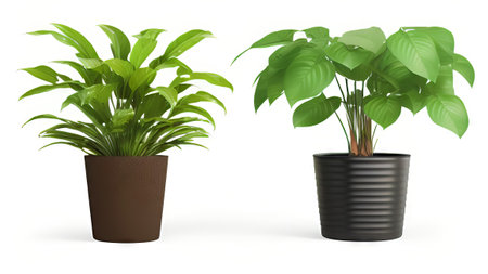 House plants in pots isolated on white background. 3d rendering.の素材