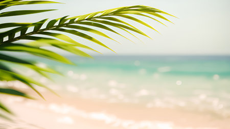 Palm leaf on the tropical beach with bokeh background.の素材