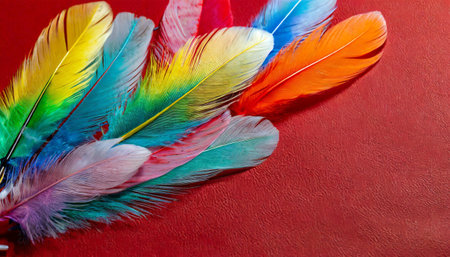 Colorful feathers on a red background. Close up. Copy space.の素材