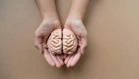 Human brain in female hands on a beige background. Top viewの素材