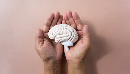 Human brain model in hand on beige background. Brainstorming conceptの素材