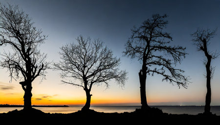 Silhouette of trees on the beach at sunset, panoramaの素材
