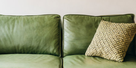 Green sofa and pillow decoration in living room interior - Vintage Light Filterの素材