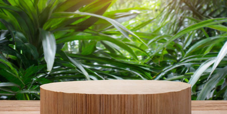 Wooden pedestal or platform for product display on natural background.の素材