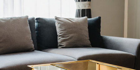 Beautiful luxury pillow on sofa decoration in living room interior - Vintage Light Filterの素材