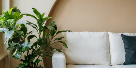 White sofa with pillows and green plant decoration in living room interiorの素材