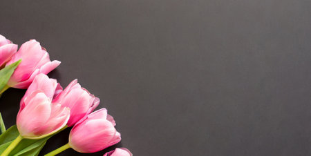 Bouquet of pink tulips on a black background. Copy space.の素材