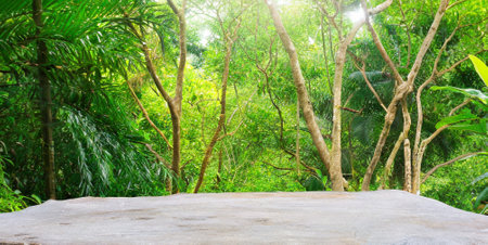 Concrete floor in the garden with green nature background, stock photoの素材