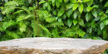 Empty top of natural stone table and green plant background. For product displayの素材