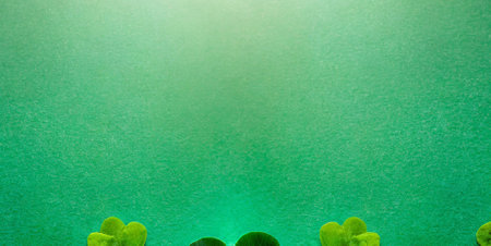 St. Patrick's day background with clover leaves on green backgroundの素材