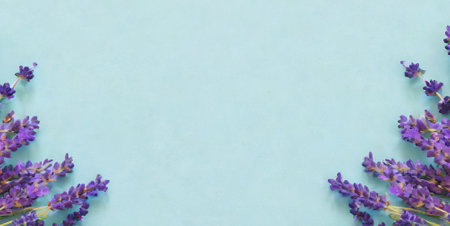 Lavender flowers on blue background. Top view with copy spaceの素材