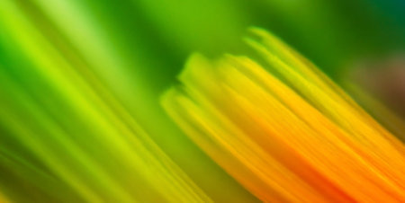 abstract colorful background with bokeh defocused lights and shadowの素材