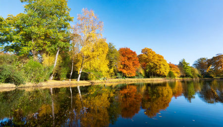 Autumn landscape with lake and colorful trees in the park on a sunny dayの素材