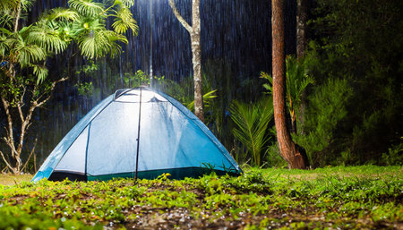 Camping tent in the rain forest at Doi Inthanon National Park, Chiang Mai, Thailandの素材