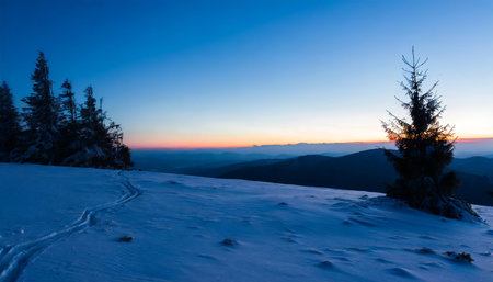 Beautiful winter sunrise in the mountains. Carpathians, Ukraineの素材