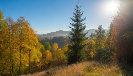 Beautiful autumn landscape with colorful forest. Carpathian, Ukraine, Europe.の素材