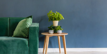 Green sofa and plant on the table in the living room at homeの素材