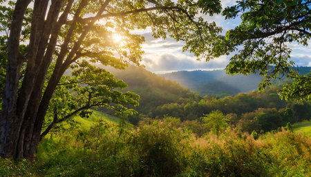 Sunrise in the morning in the mountains. Beautiful summer landscape.の素材