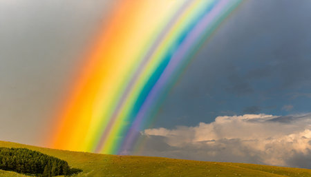 beautiful rainbow backgroundsの素材