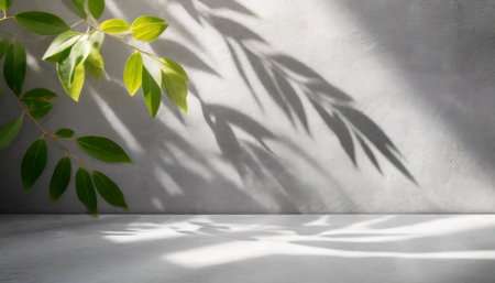leaves shadow with sunbeam reflection on grey concrete wall background studio background with abstract light shade on cement floor empty backdrop display for product presentationの素材