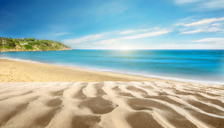 empty sand beach in front of summer sea background with copy spaceの素材