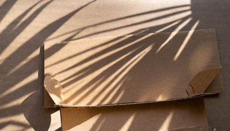 palm tree leaves casting shadows on eco friendly cardboard silhouette conceptの素材