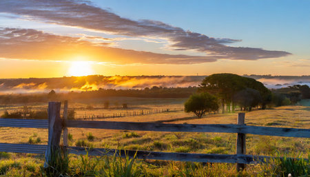sunny sunrise in the countryside of uruguayの素材