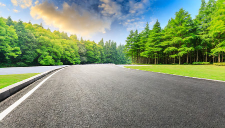 Asphalt road and green forest natural landscape under blue sky at sunsetの素材