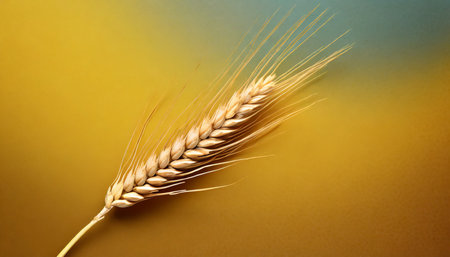 ear of wheat spikelet on background generative aiの素材