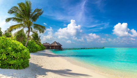tropical beach in the maldivesの素材