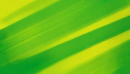 vivid yellow green abstract background with blurred linesの素材