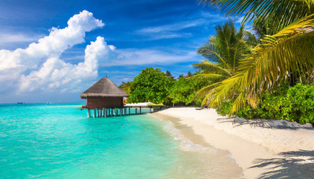 tropical beach in the maldivesの素材