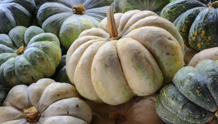vegetable pumpkin on background generative aiの素材