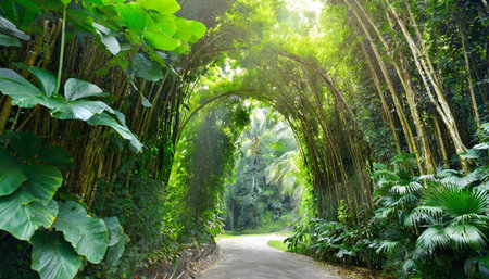 deep tropical jungles of southeast asia green trees tunnel extra wide background bannerの素材